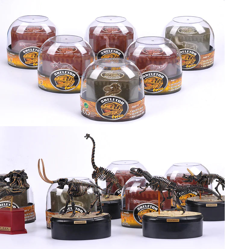 4D Dinosaur Skeleton Model Toy - Realistic Fossil Model