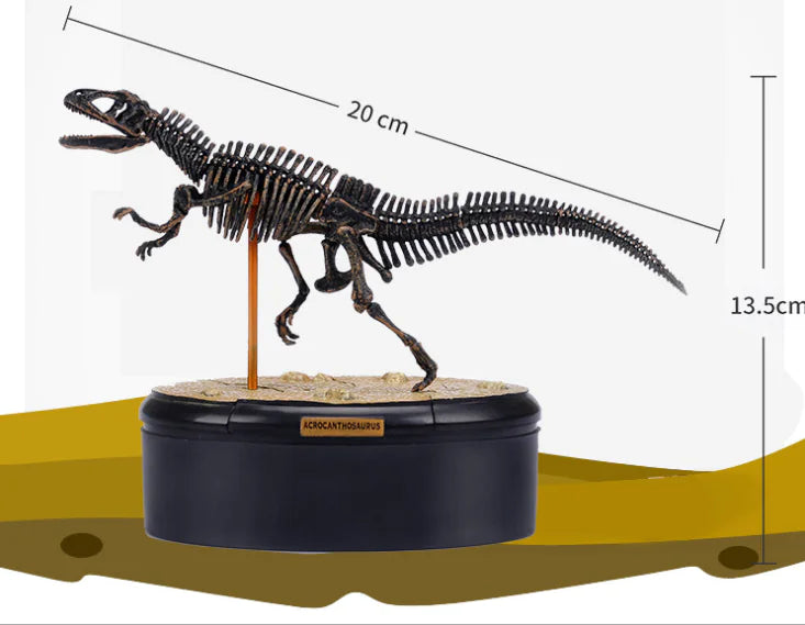 4D Dinosaur Skeleton Model Toy - Realistic Fossil Model