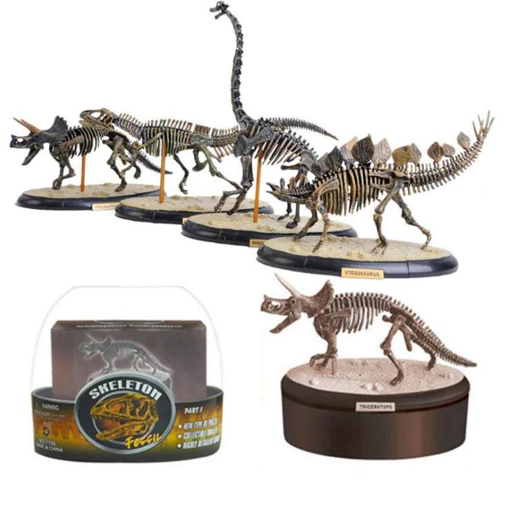 4D Dinosaur Skeleton Model Toy - Realistic Fossil Model