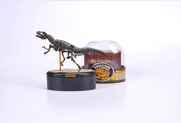 4D Dinosaur Skeleton Model Toy - Realistic Fossil Model