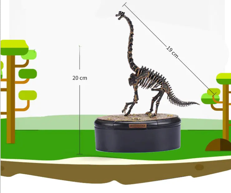 4D Dinosaur Skeleton Model Toy - Realistic Fossil Model