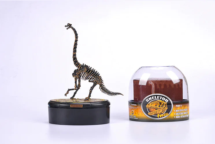 4D Dinosaur Skeleton Model Toy - Realistic Fossil Model